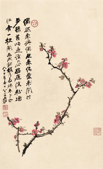 Zhang Daqian (Chang Dai-Chien, 1899-1983), Apricot Flowers