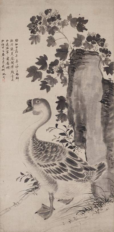 Hibiscus and Goose 蓉汀鵝戲圖