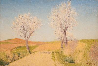 Route aux amandiers en fleurs