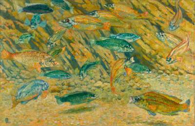 Vitrine d’aquarium (labres)