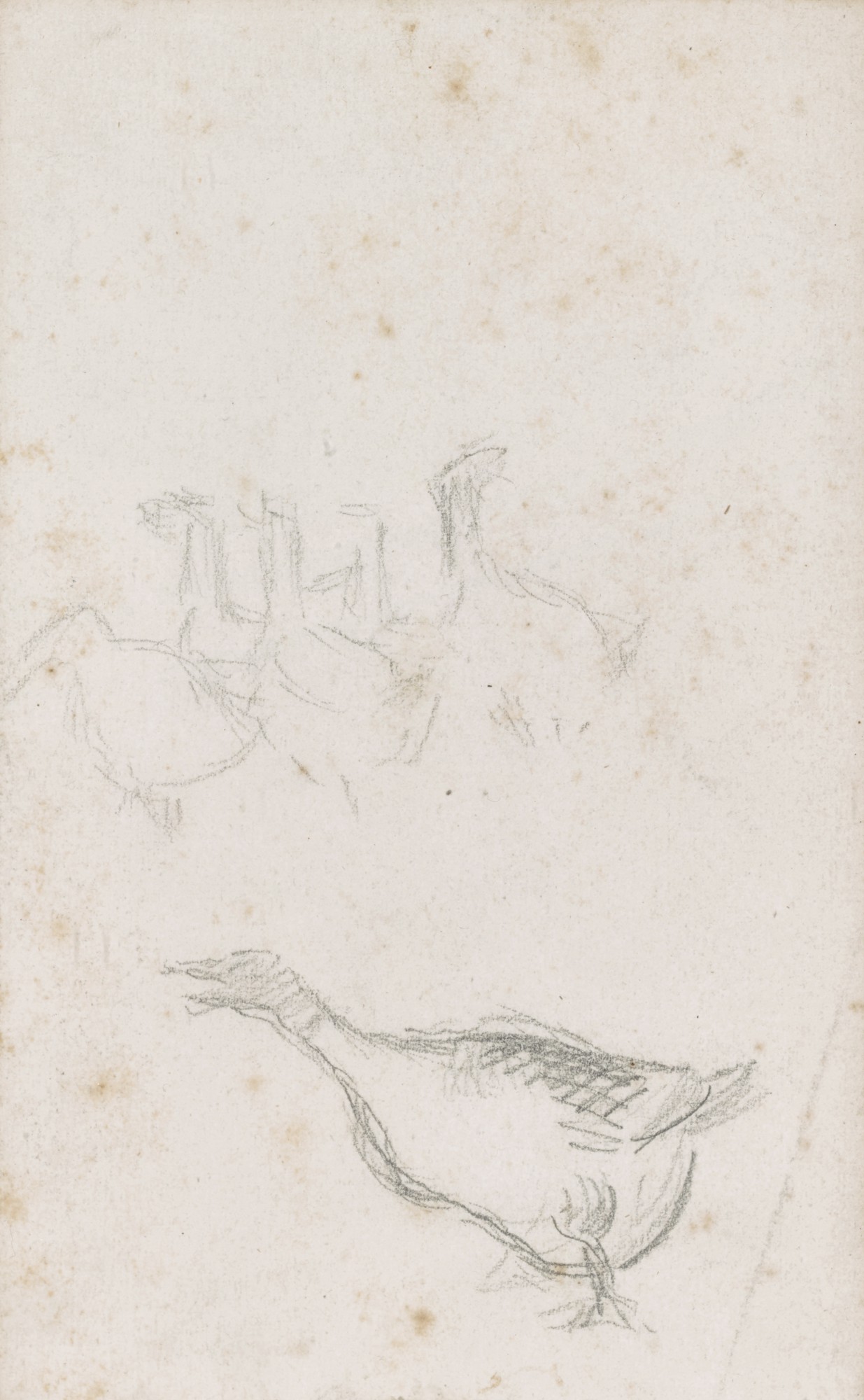 Camille Pissarro — Etude d'oies