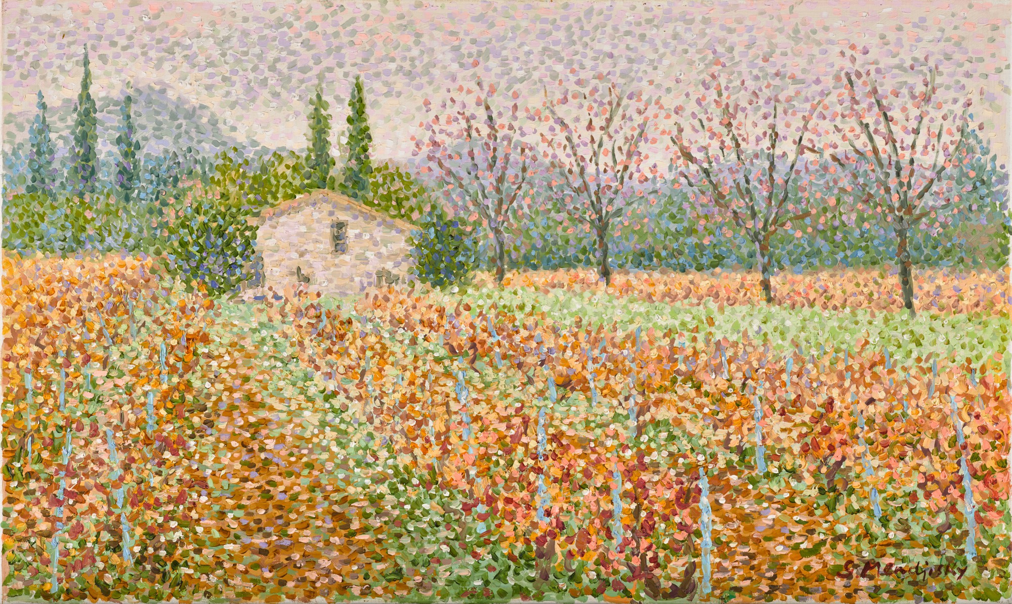 Automne, les vignes en Provence