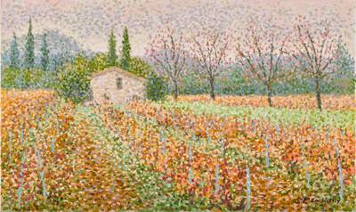 Automne, les vignes en Provence