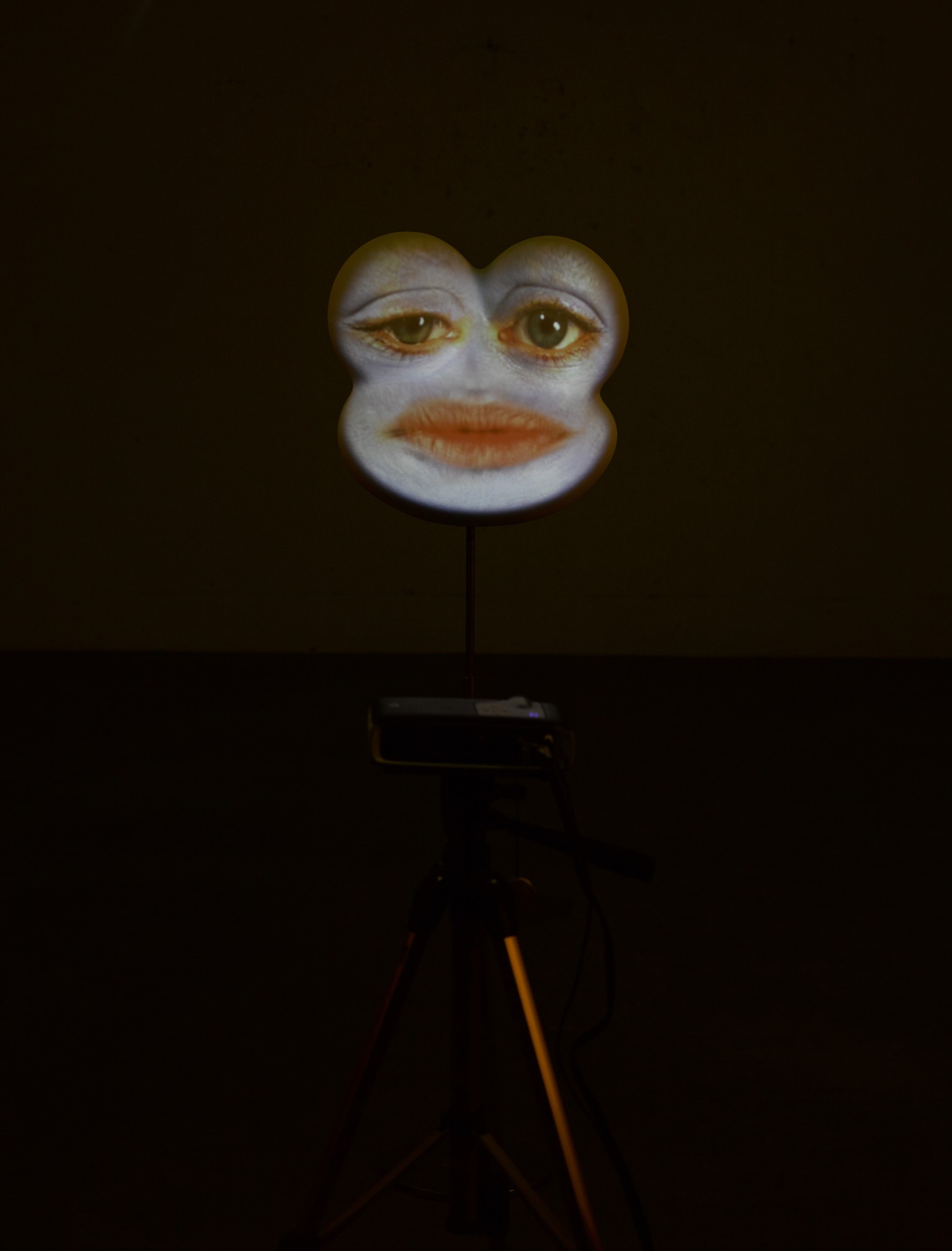 Tony Oursler — Eeek