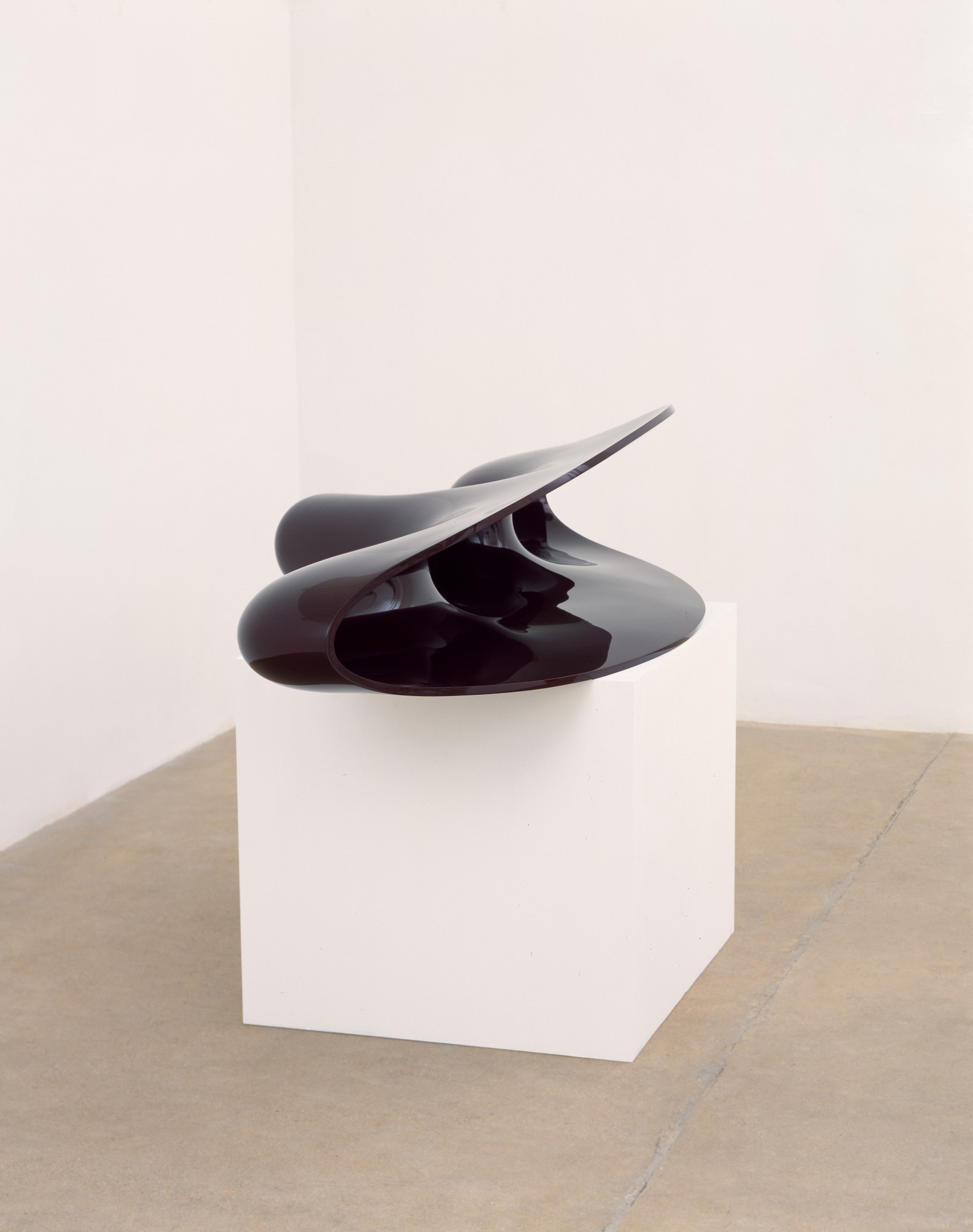 Anish Kapoor — In Out