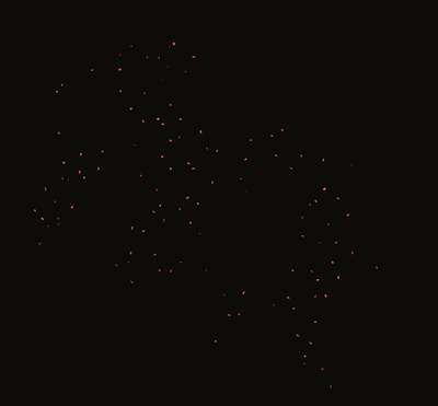 Counter Fragile No 25