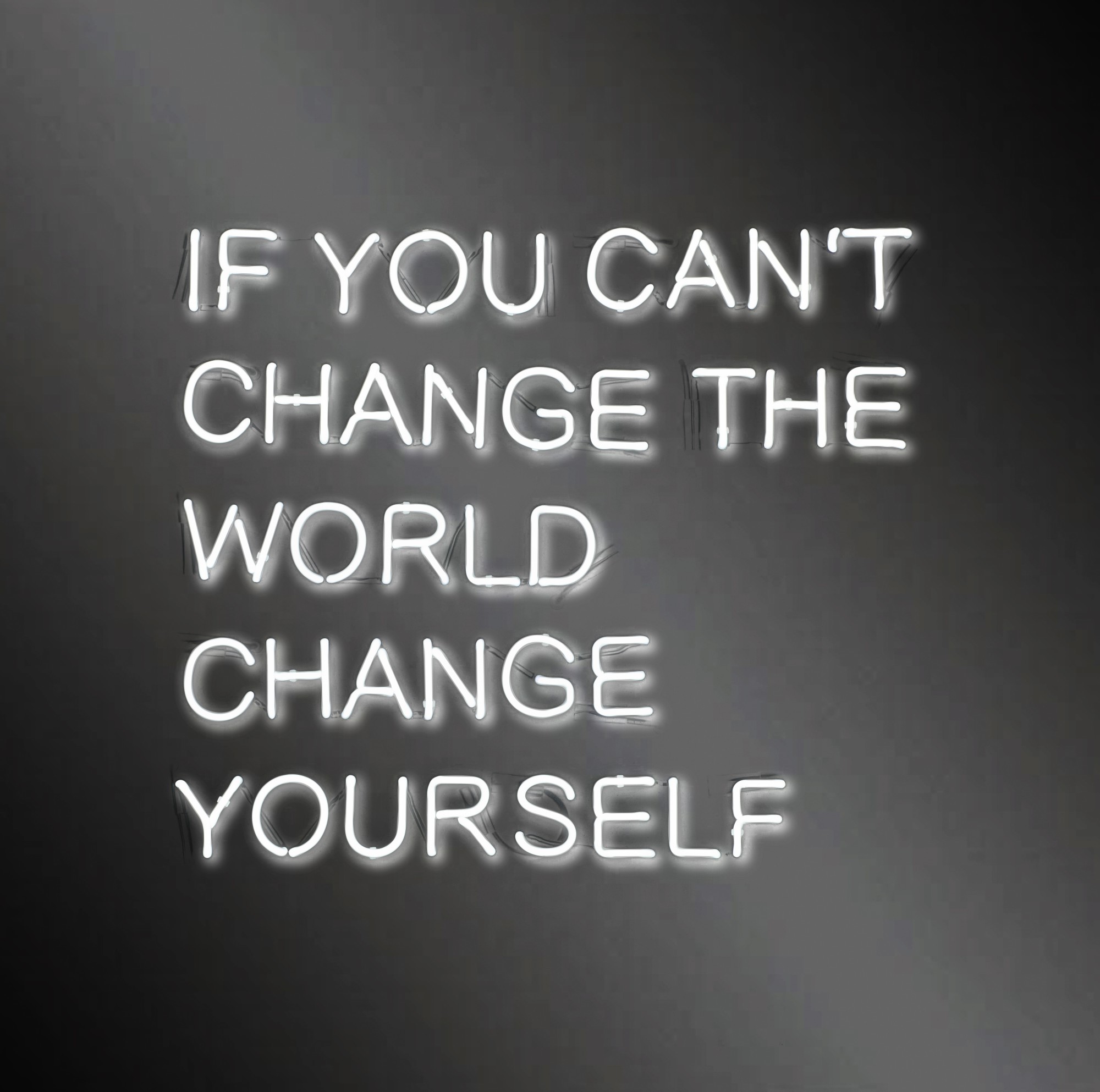 Jeppe Hein — If You Cant Change the World, Change yourself