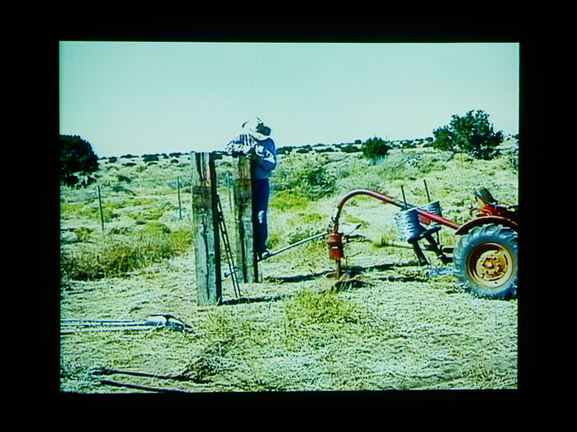 The Pomeranz Collection, Vienna — Setting a Good Corner (Allegory and Metaphor)