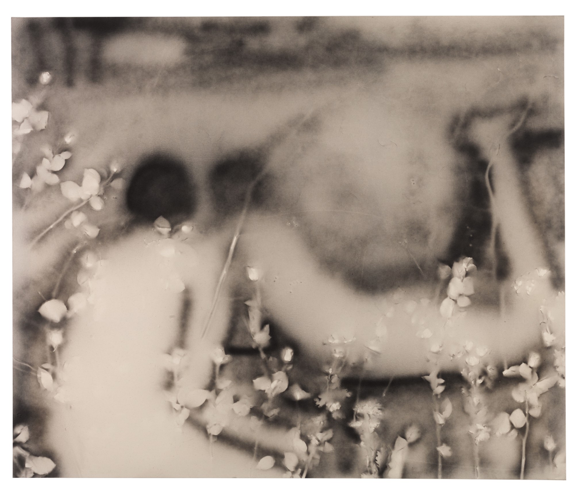 Phoebe Unwin — Land