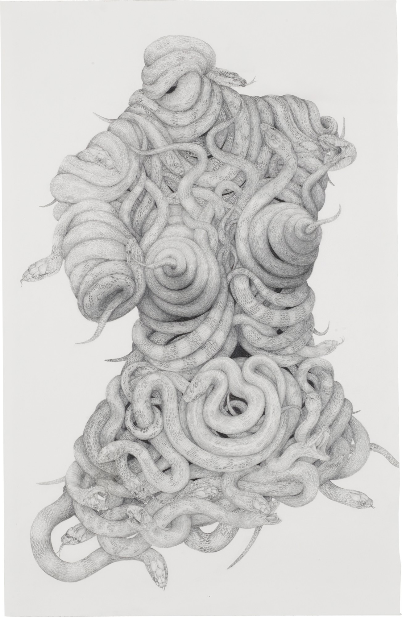 Medusa