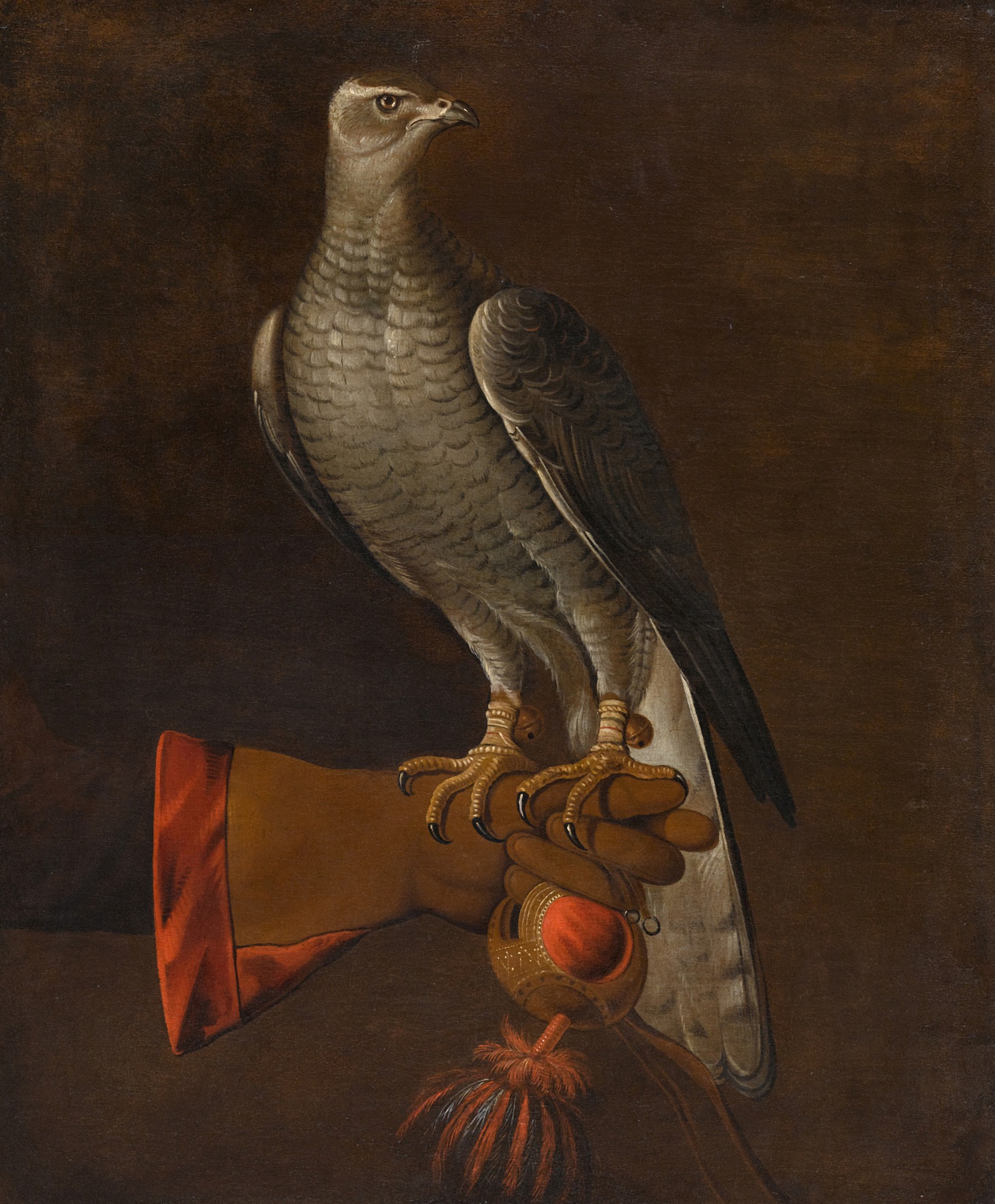 Dutch School, 17th Century — A goshawk perched on the hand of a falconer