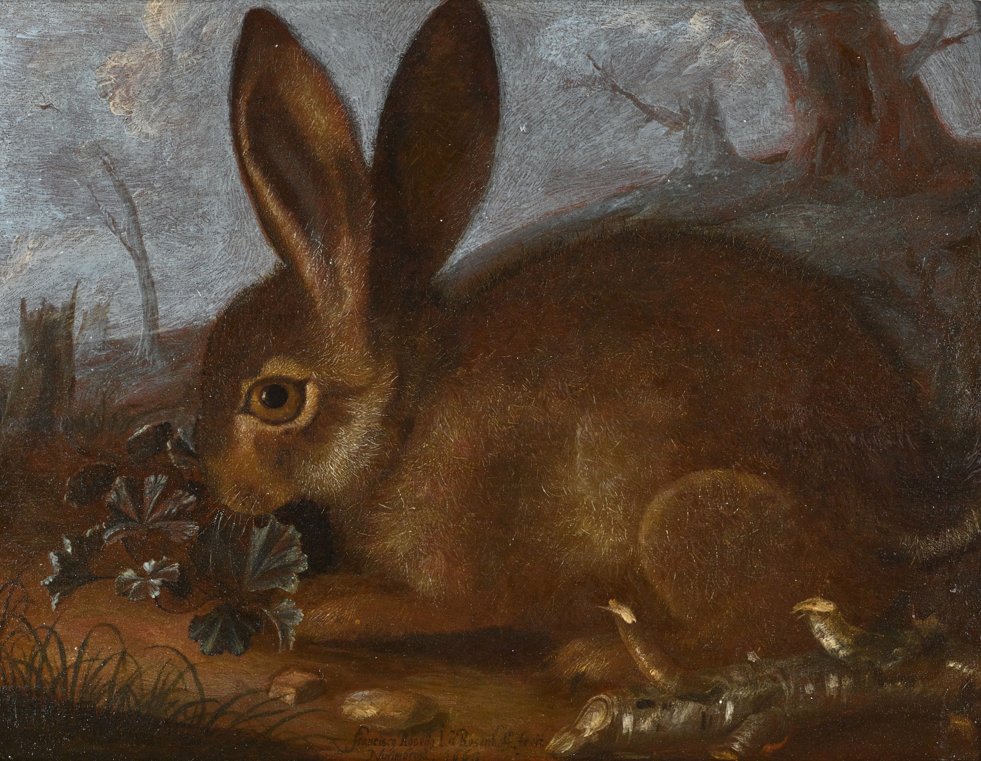 Franz Rösel von Rosenhoff