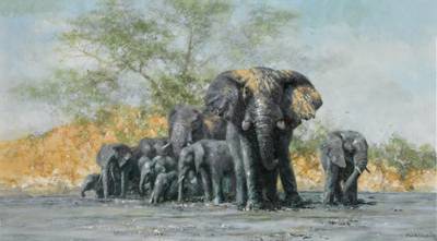 Waterhole in Botswana  