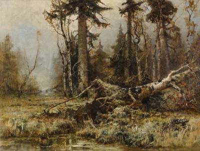 Forest in the Early Morning 