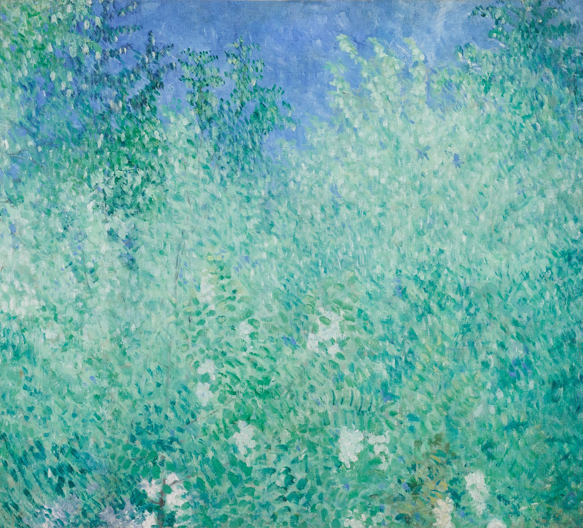 Mikhail Fedorovich Larionov — Les Feuillages