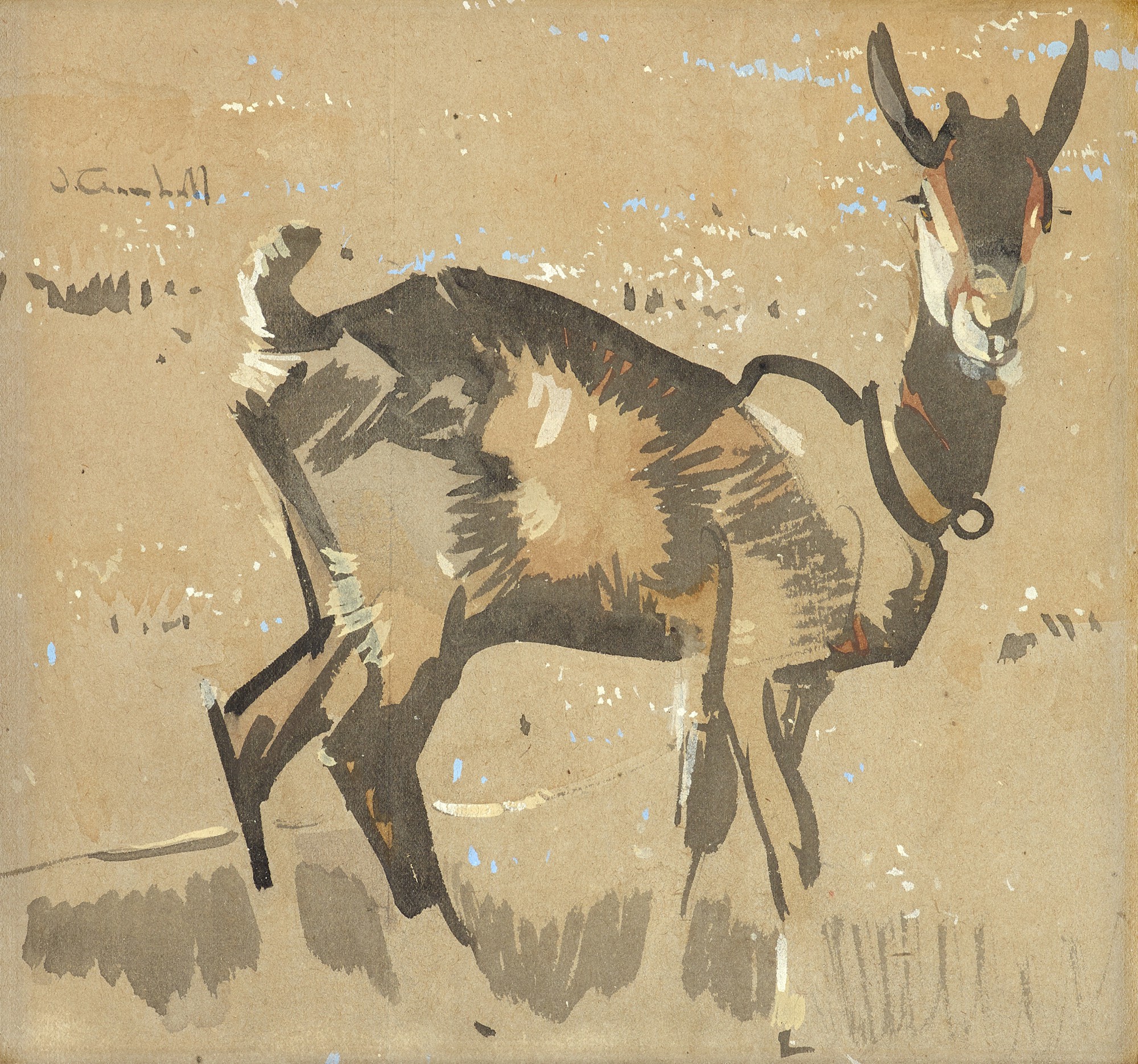 Joseph Crawhall — Study of a Goat