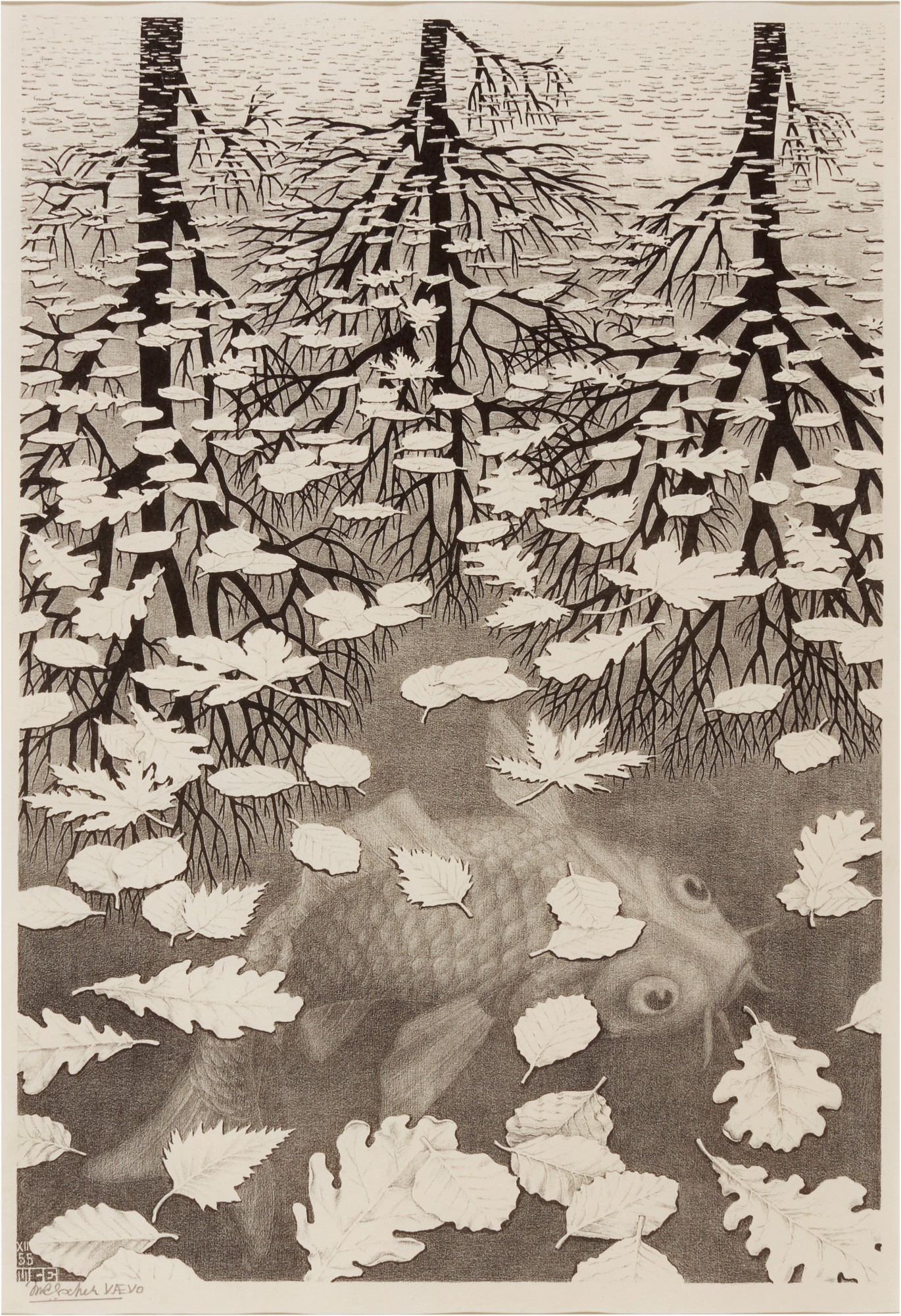 M. C. Escher — Drie Werelden (Three Worlds) (Bool, Kirst, Locher, Weirda 405)