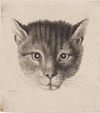 Head of a Cat (Small Size) (P. 2108)