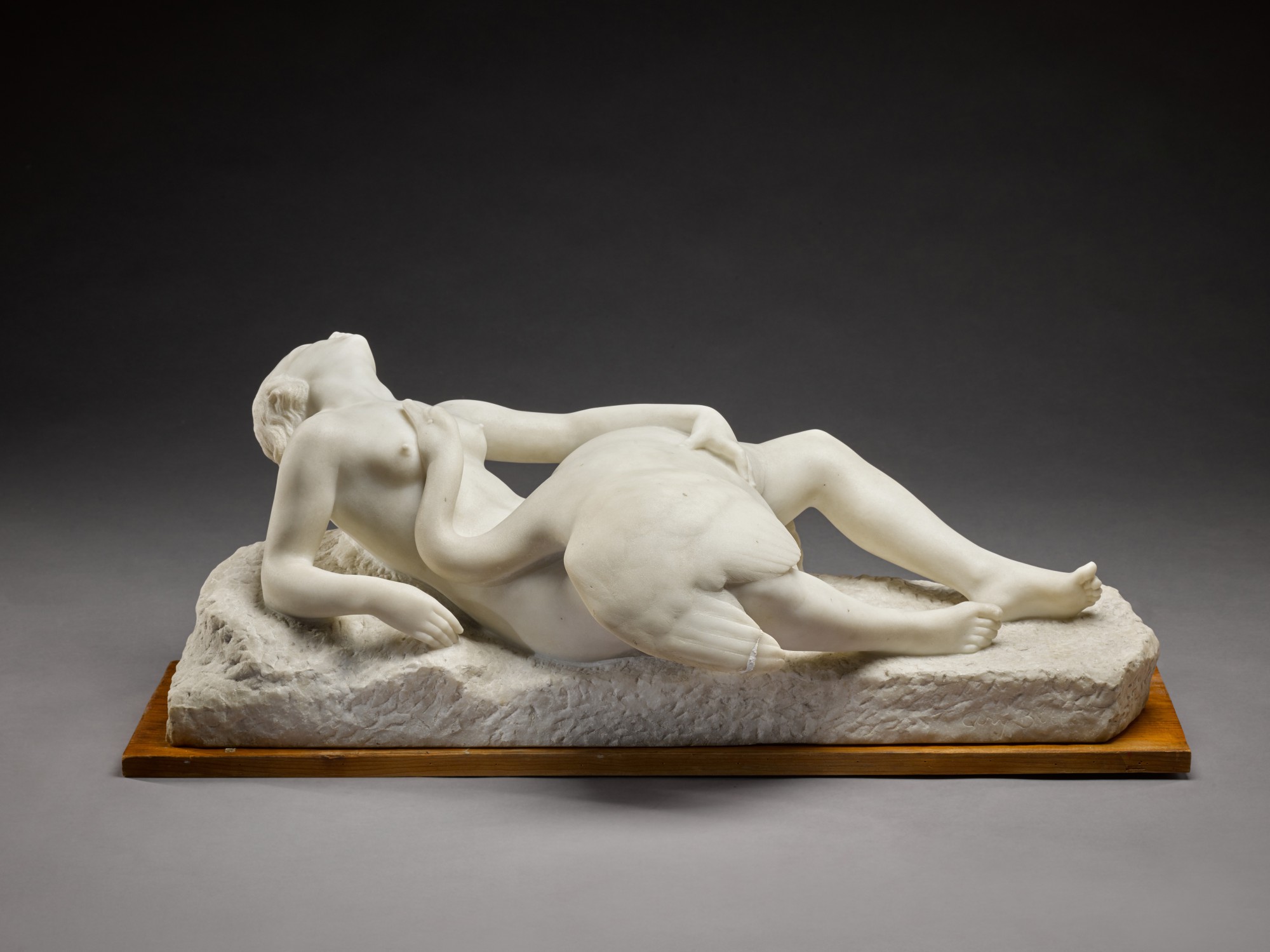 Ary Bitter — Leda and the Swan