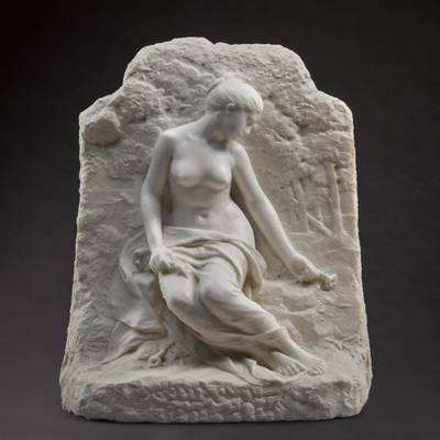 Volubilis (Morning Glory)