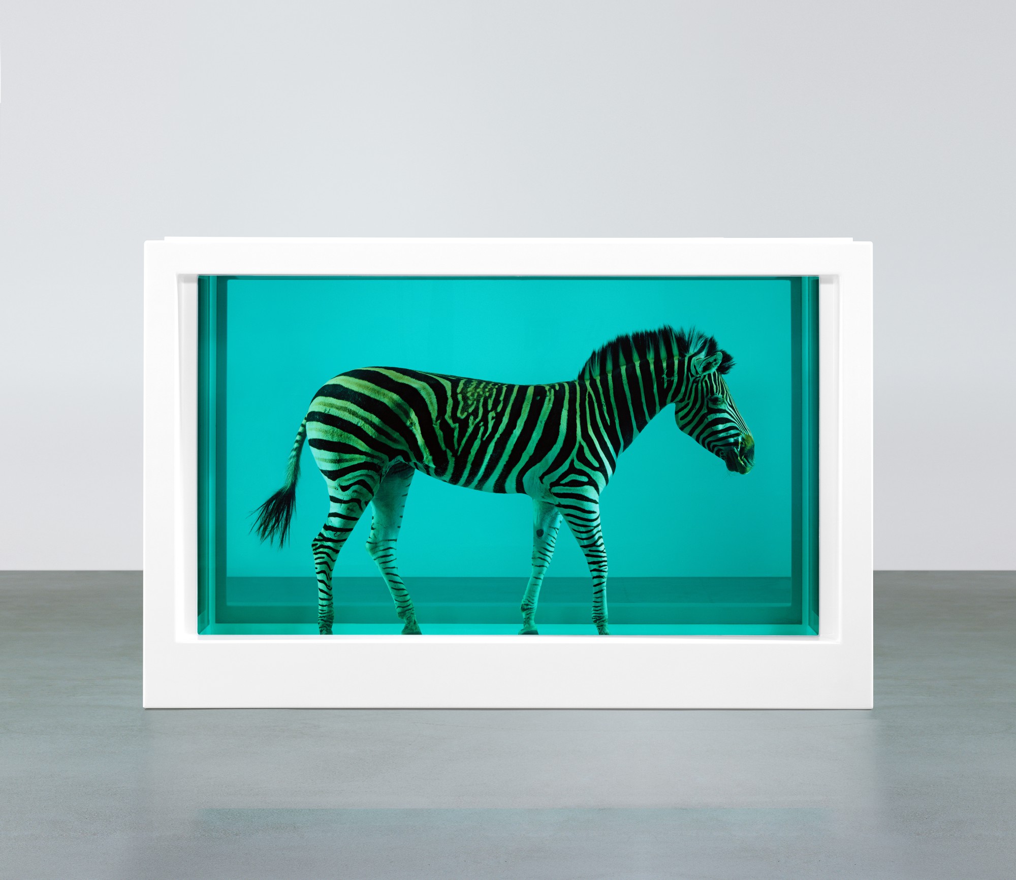 Damien Hirst — 《奇妙旅程》
