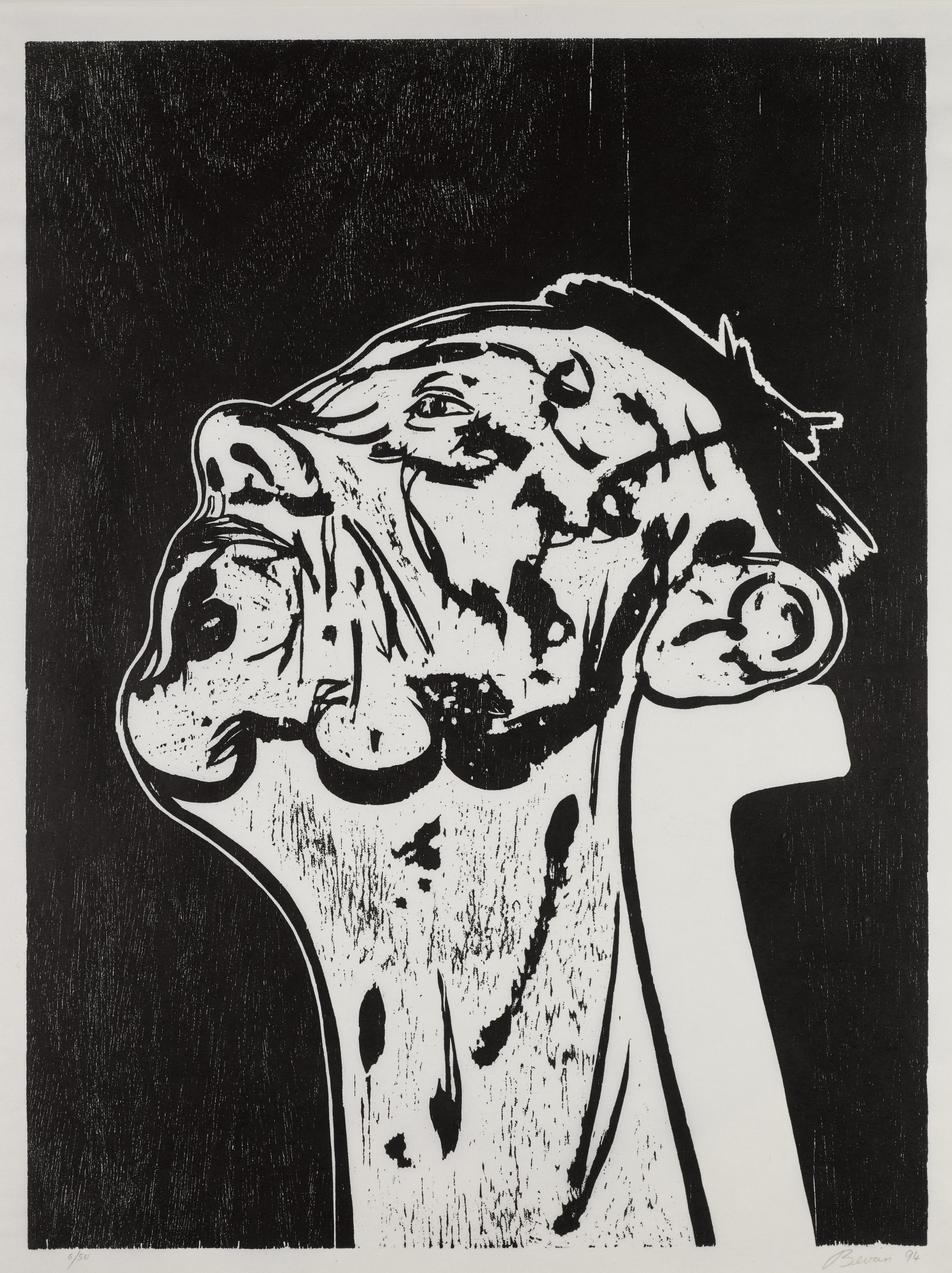 Portrait Head and Neck