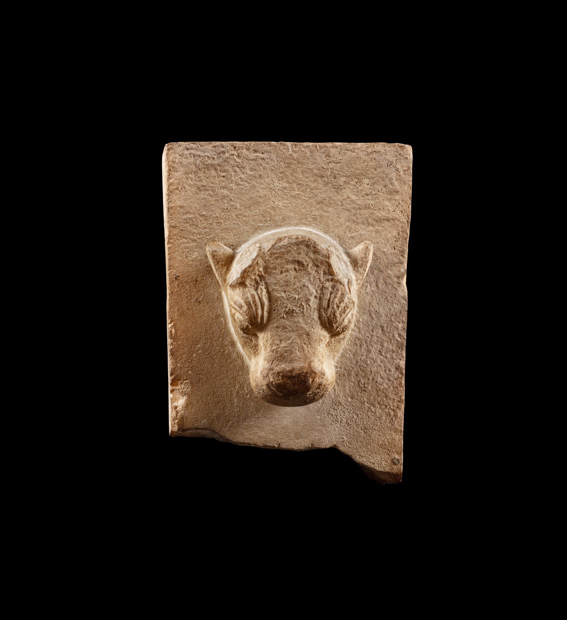 A South Arabian Limestone Bull Stele, Qataban — A South Arabian Limestone Bull Stele, Qataban, 3rd Century B.C./1st Century A.D.