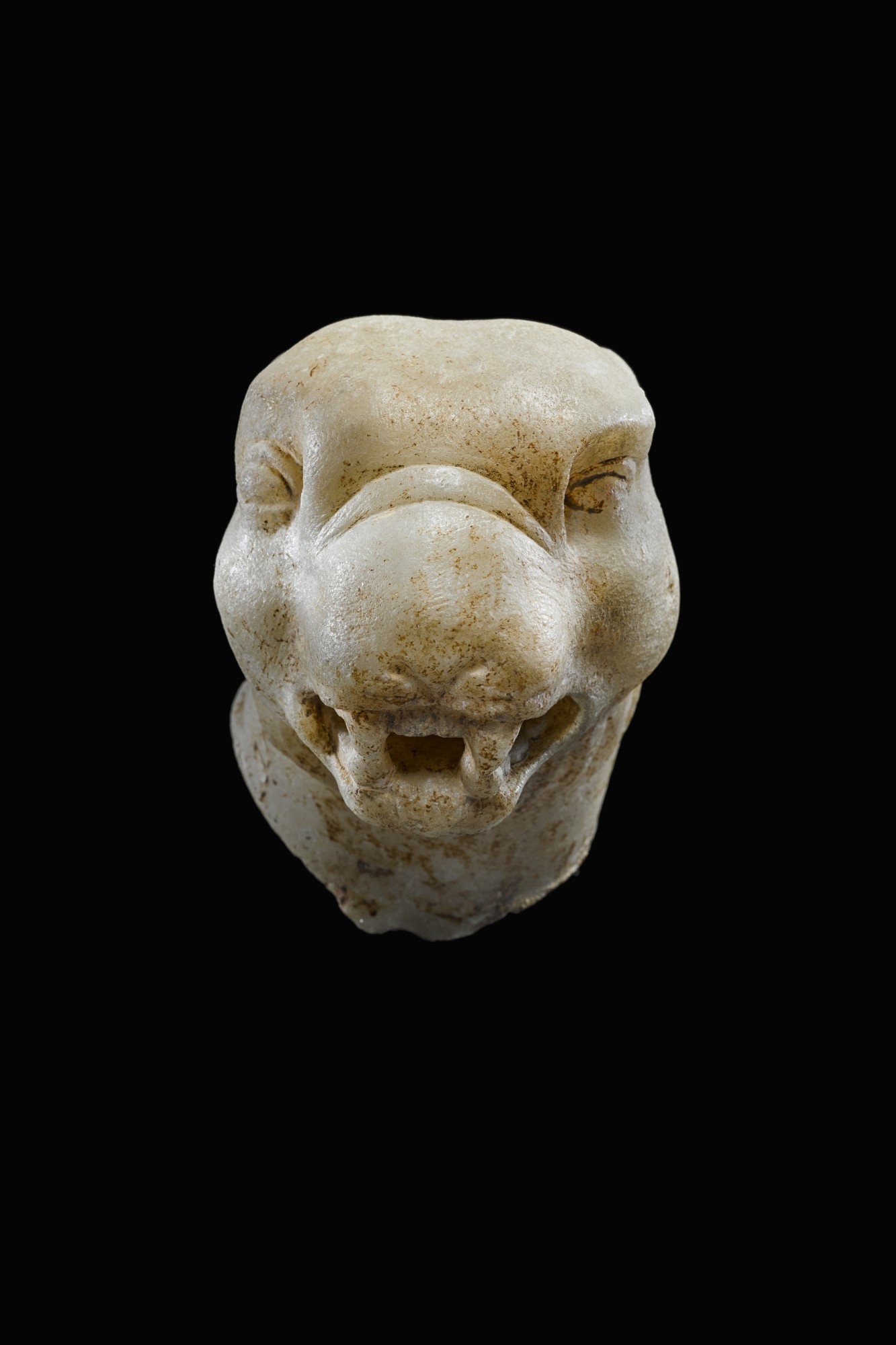 Unknown — A Roman Marble Head of a Panther, circa 1st/2nd Century A.D.