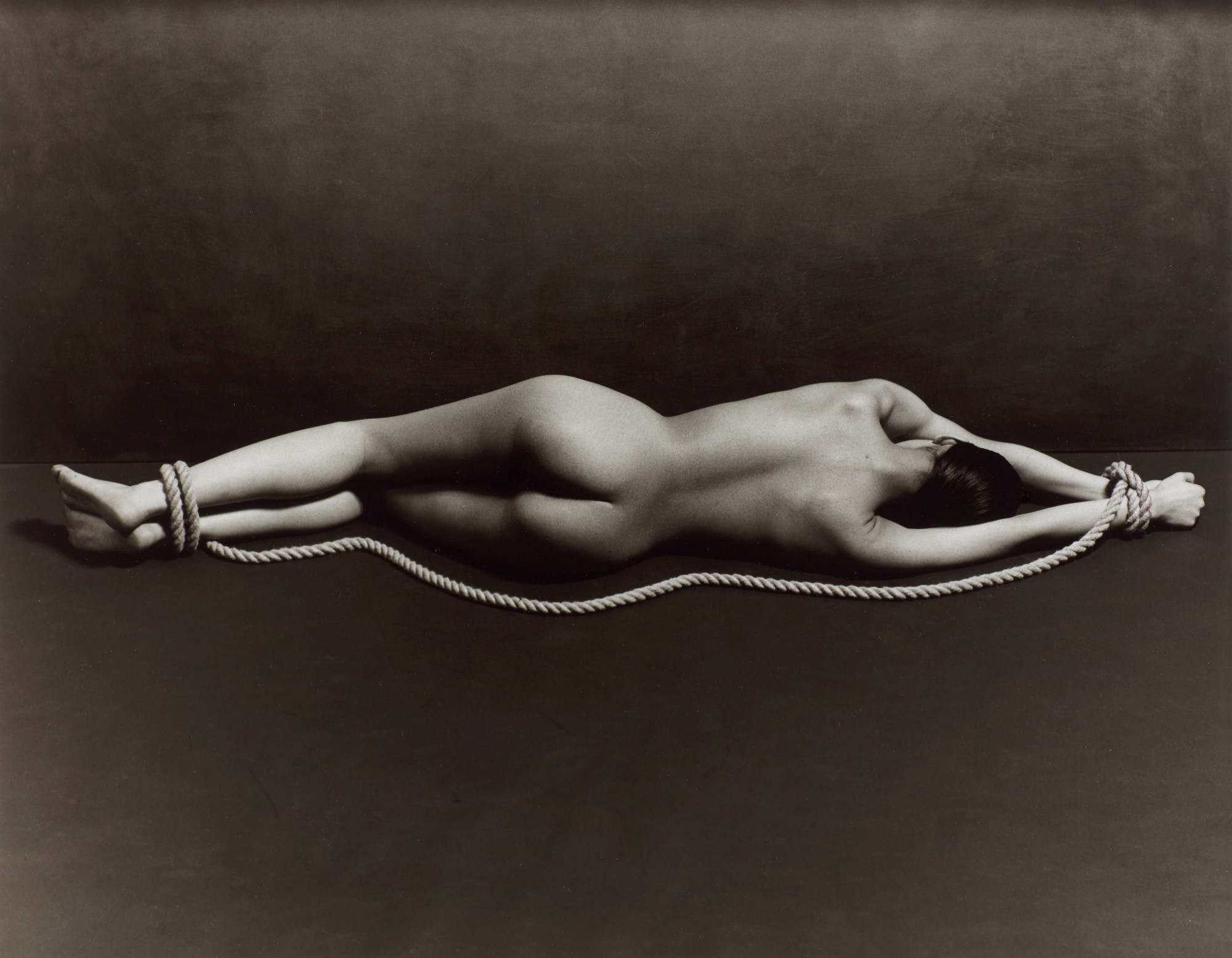 'Outlined Nude', 2014