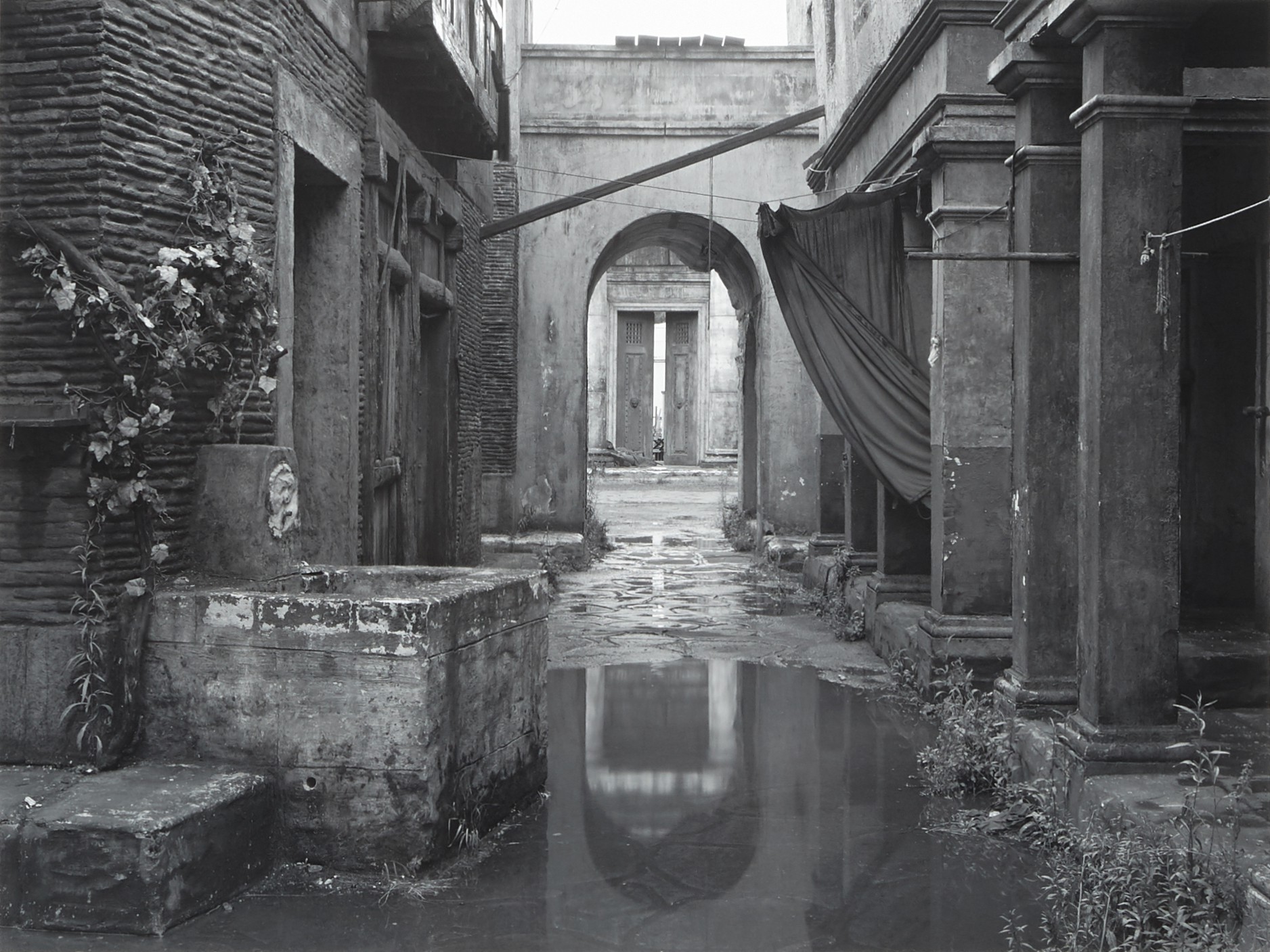 Untitled (18), (from the series Sanctuary), 2009 