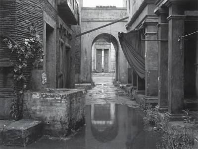 Untitled (18), (from the series Sanctuary), 2009 