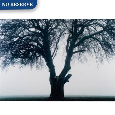 'Tanja de Jaeger wears Christian Dior', 2002