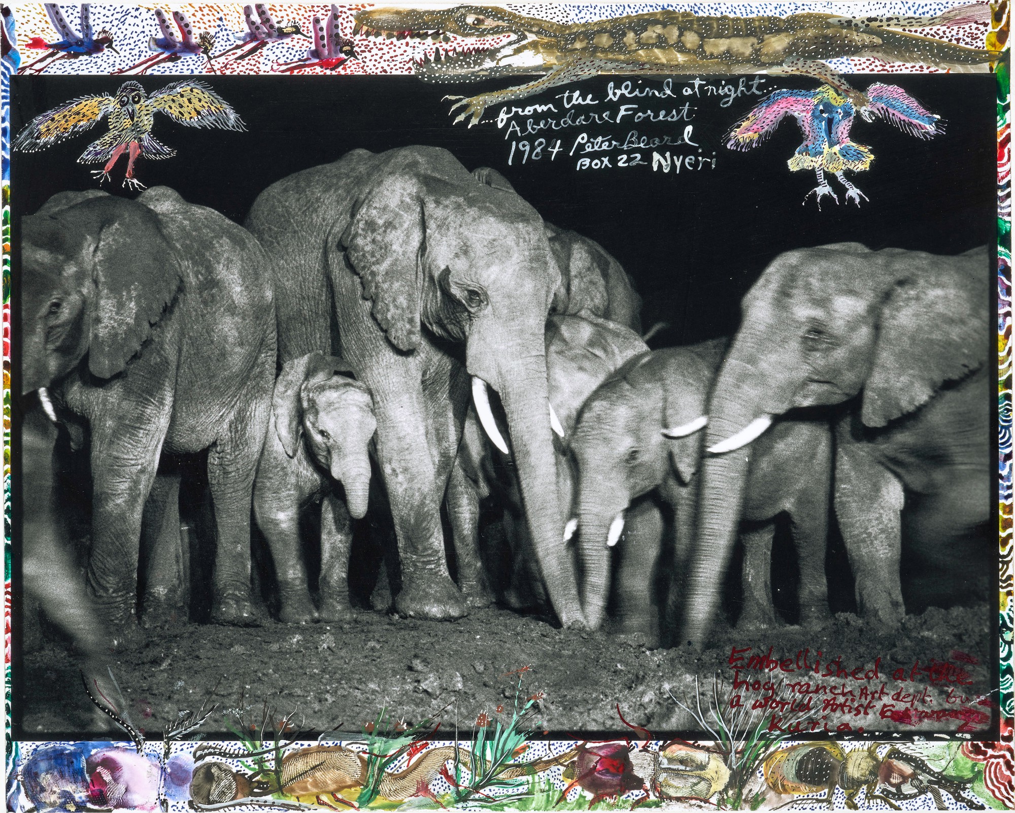 Peter Beard — 'Elephant Family at Night at a Salt Lick', Aberdare Forest, 1972