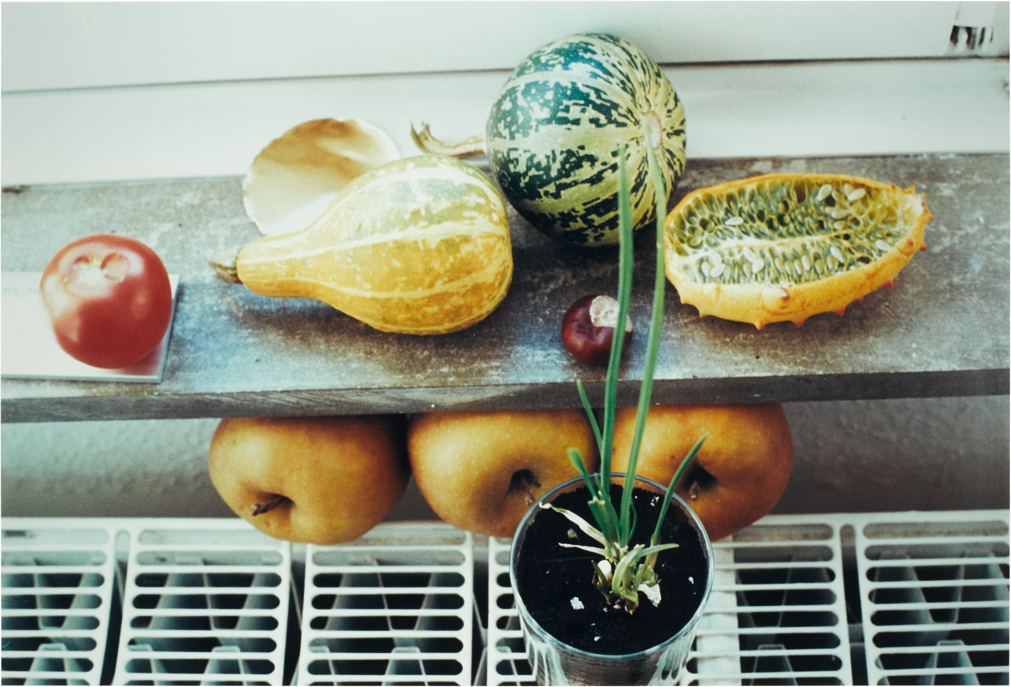 Wolfgang Tillmans — 'k5', 1998