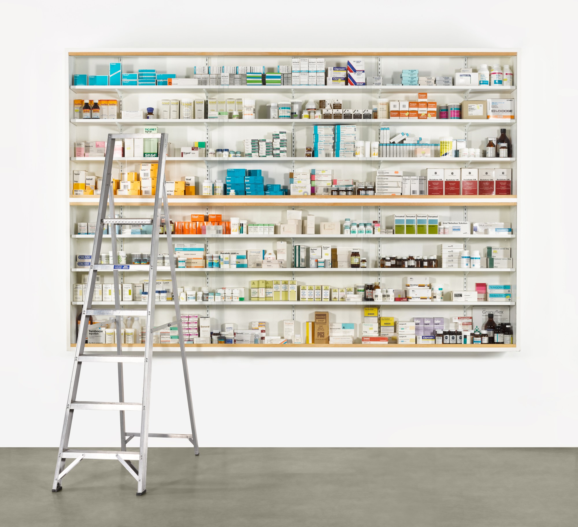 Damien Hirst — We're Afraid of Nothing