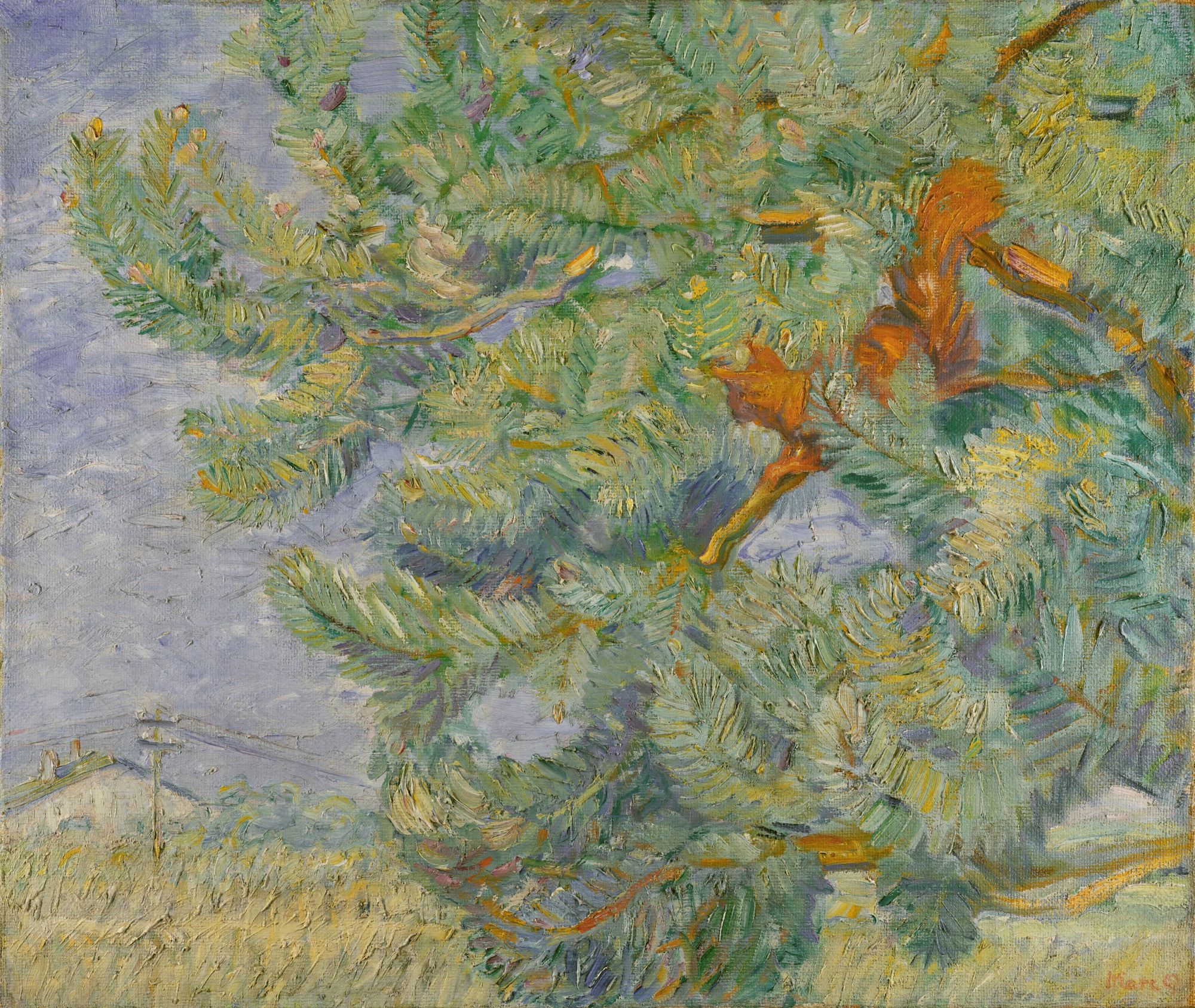 Eichkätzchen (Squirrel)