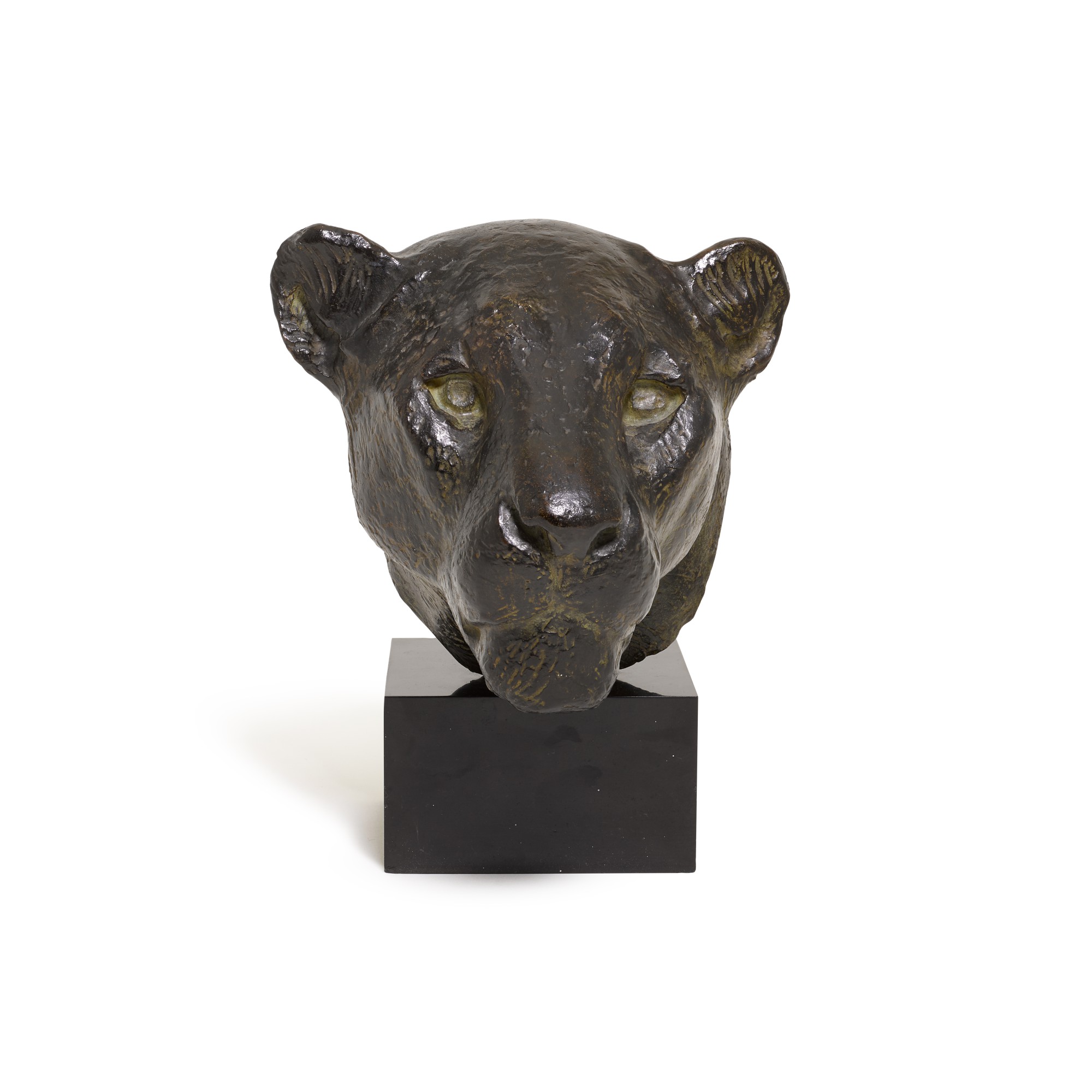 A.d. — Tête de lionne