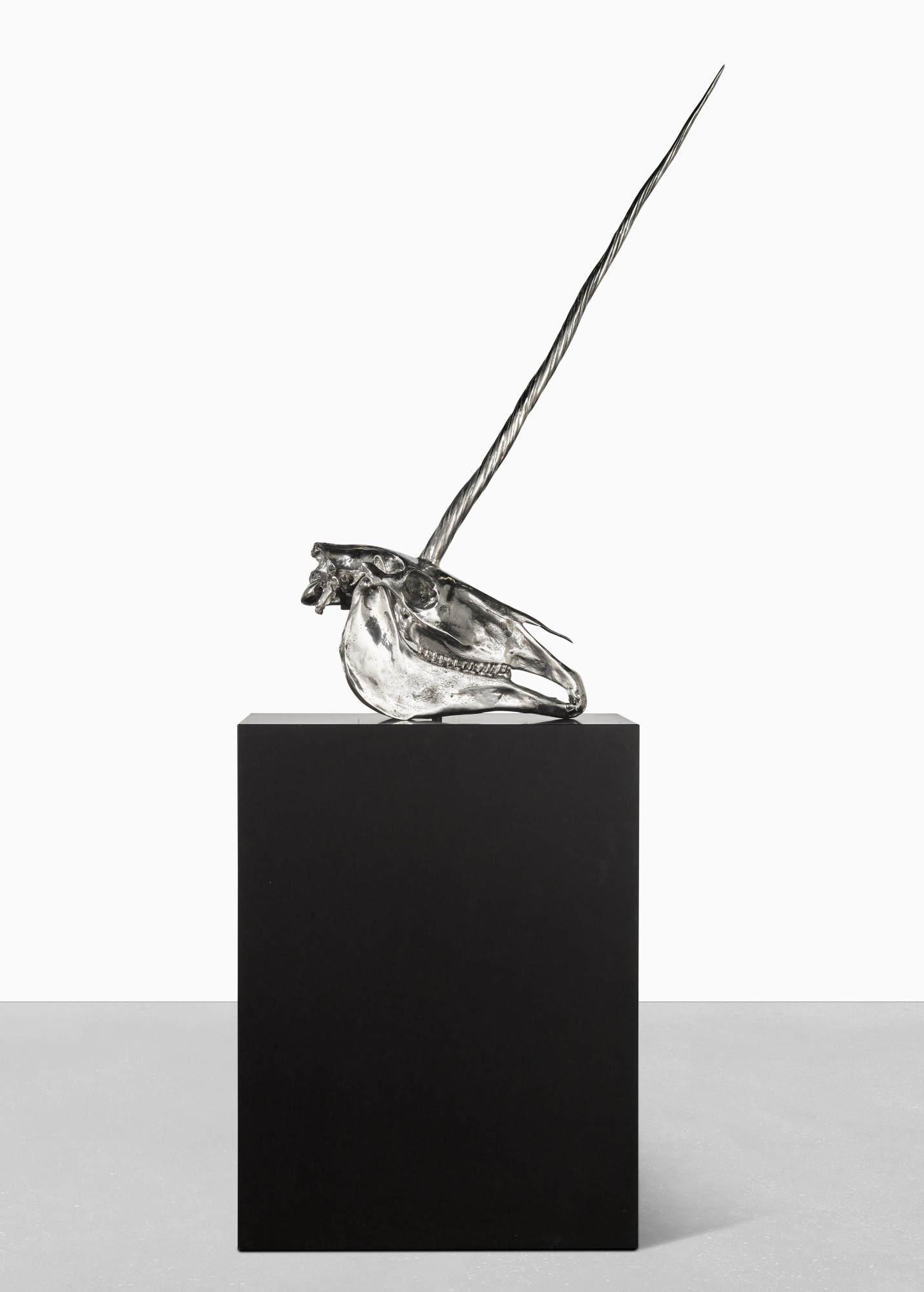 Damien Hirst — Skull of a Unicorn