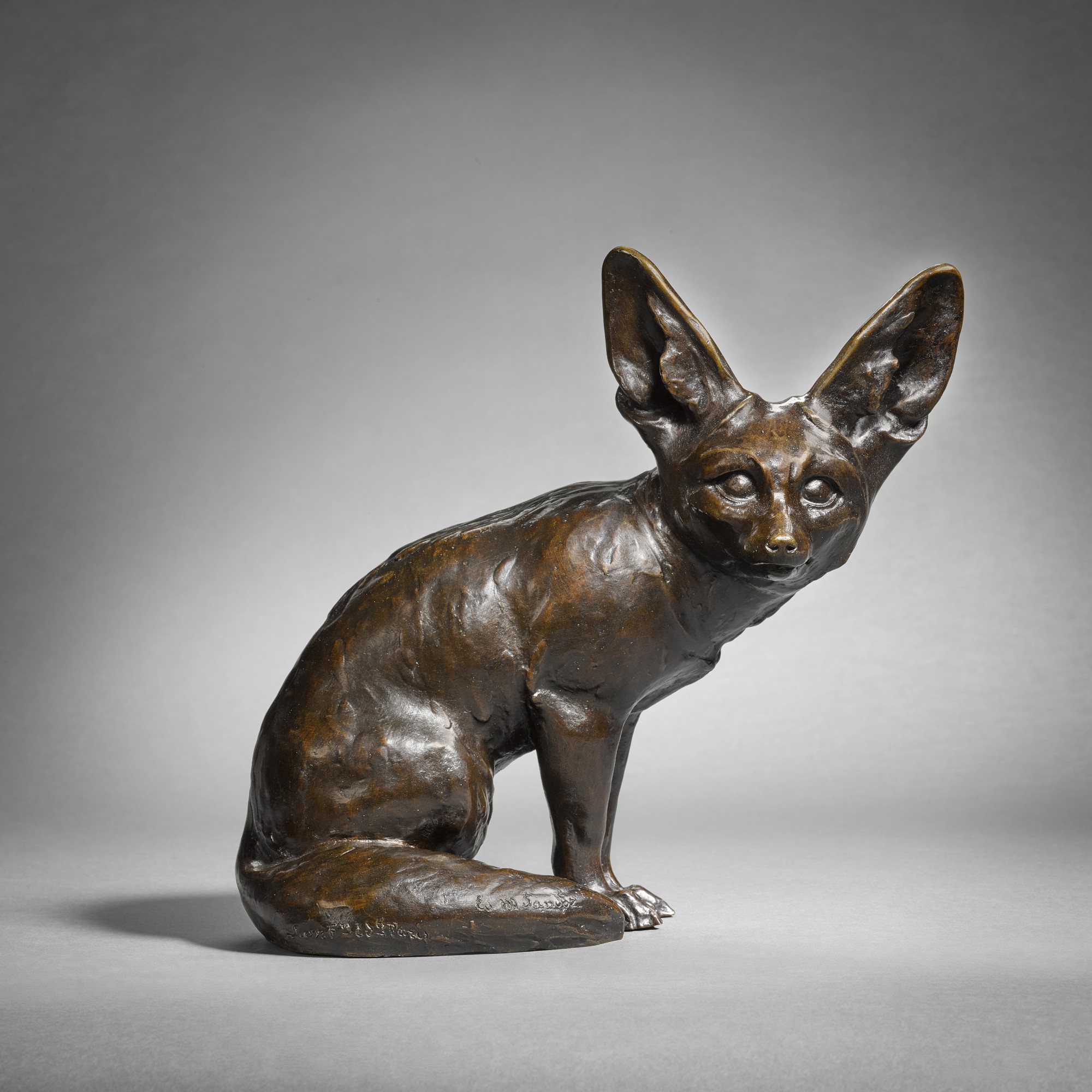 Fennec assis (Seated Fennec Fox)