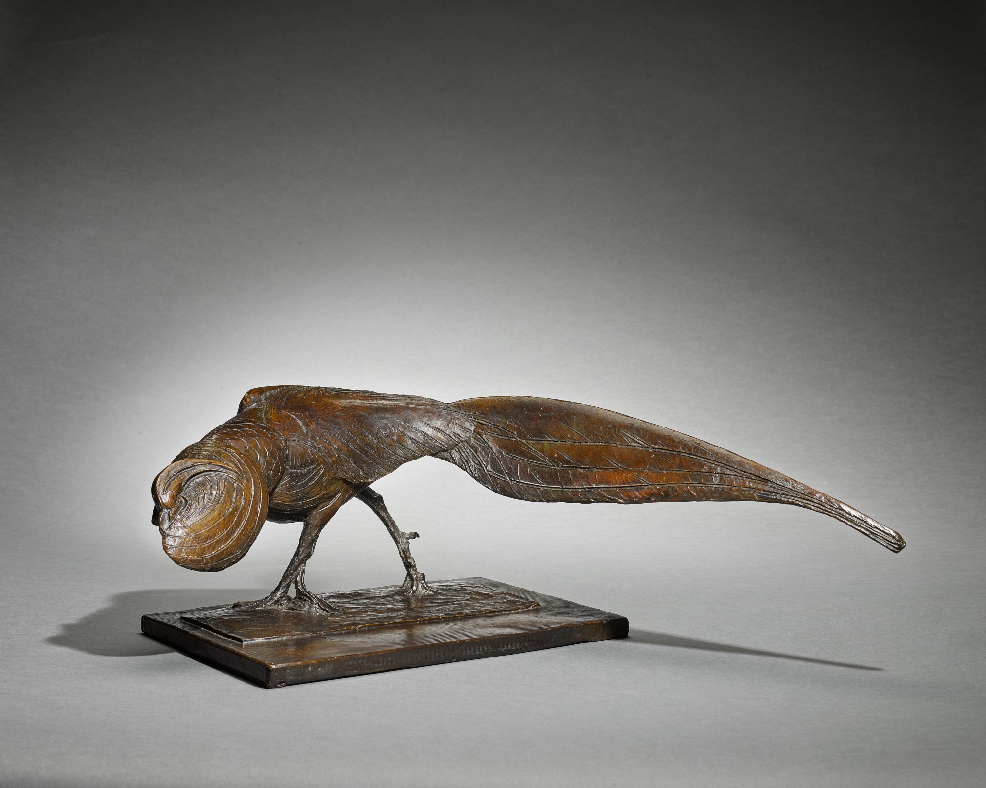 Albéric Collin — Golden Pheasant