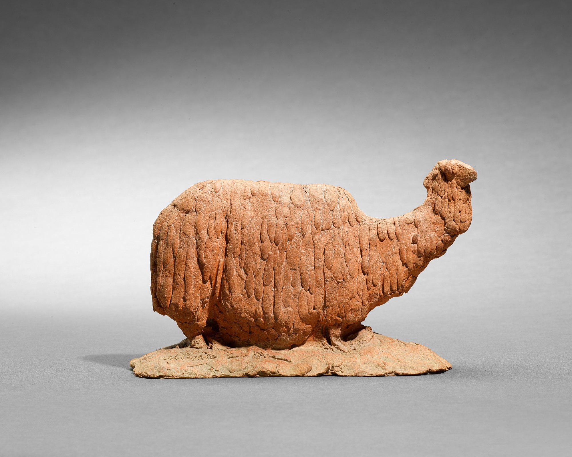 Albéric Collin — Alpaca