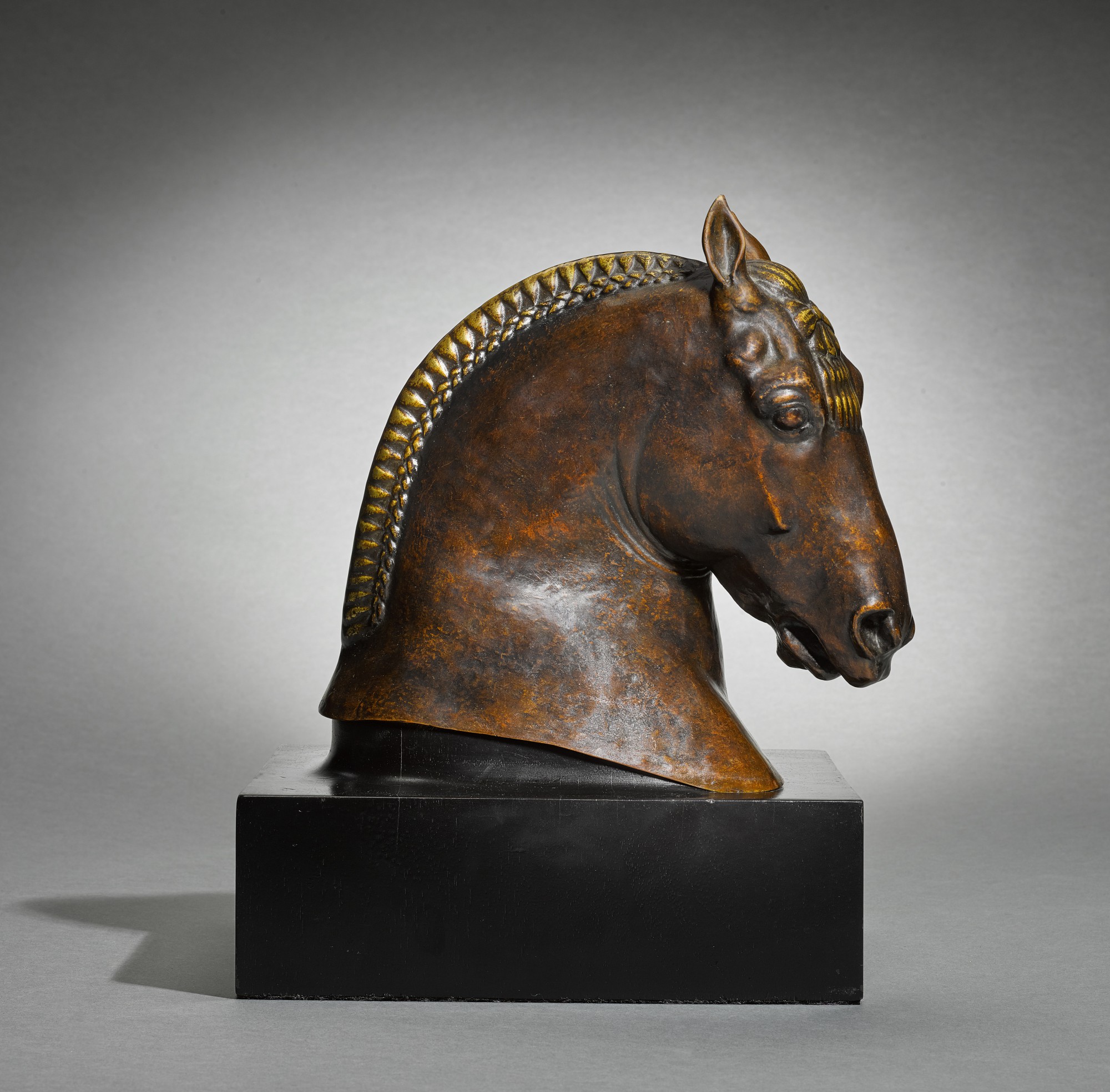 Herbert Haseltine — Suffolk Punch Stallion Horse Head