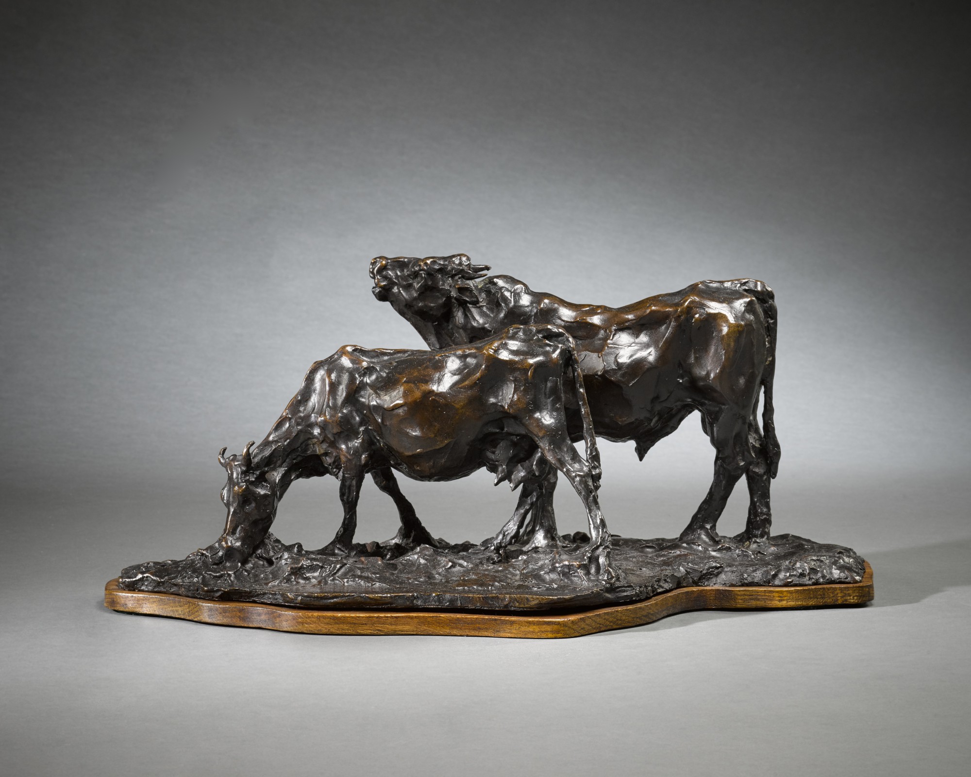 Vache broutant et Taureau meuglant