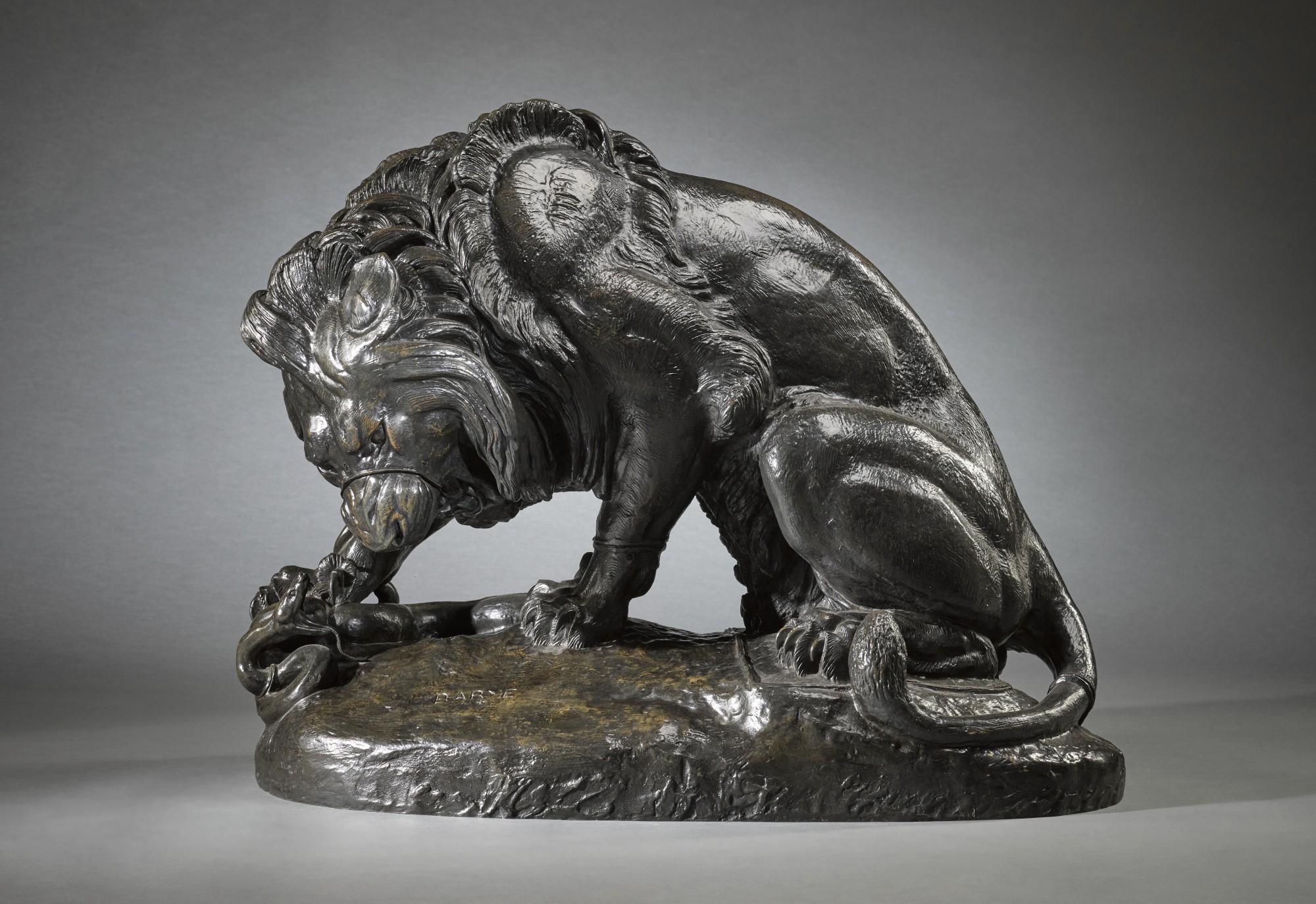 Antoine-Louis Barye — Lion au serpent, chef-modèle (Lion and serpent)