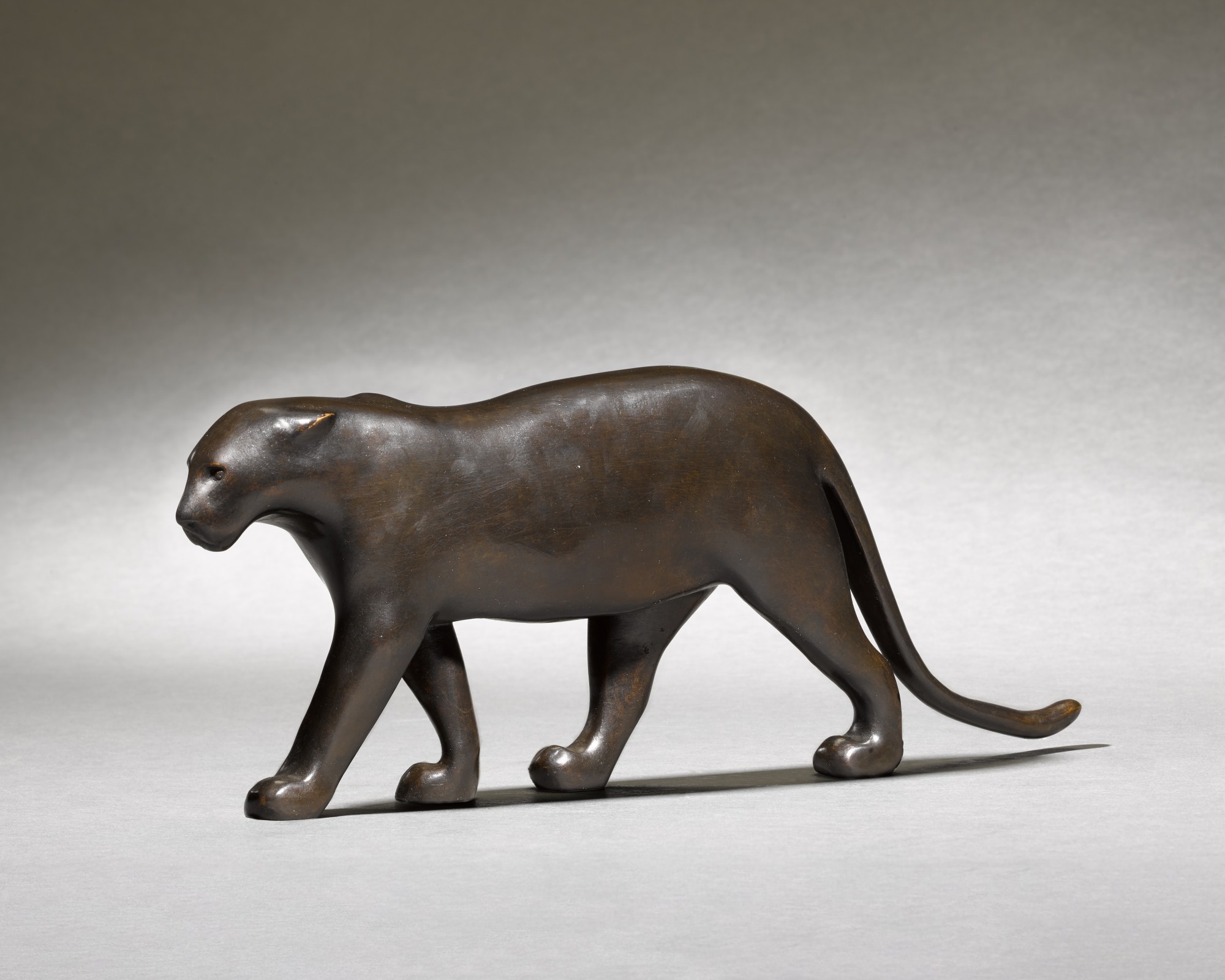 Petite panthère noire, oreilles couchées