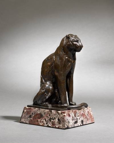 Petit Léopard assis, la queue placée en avant