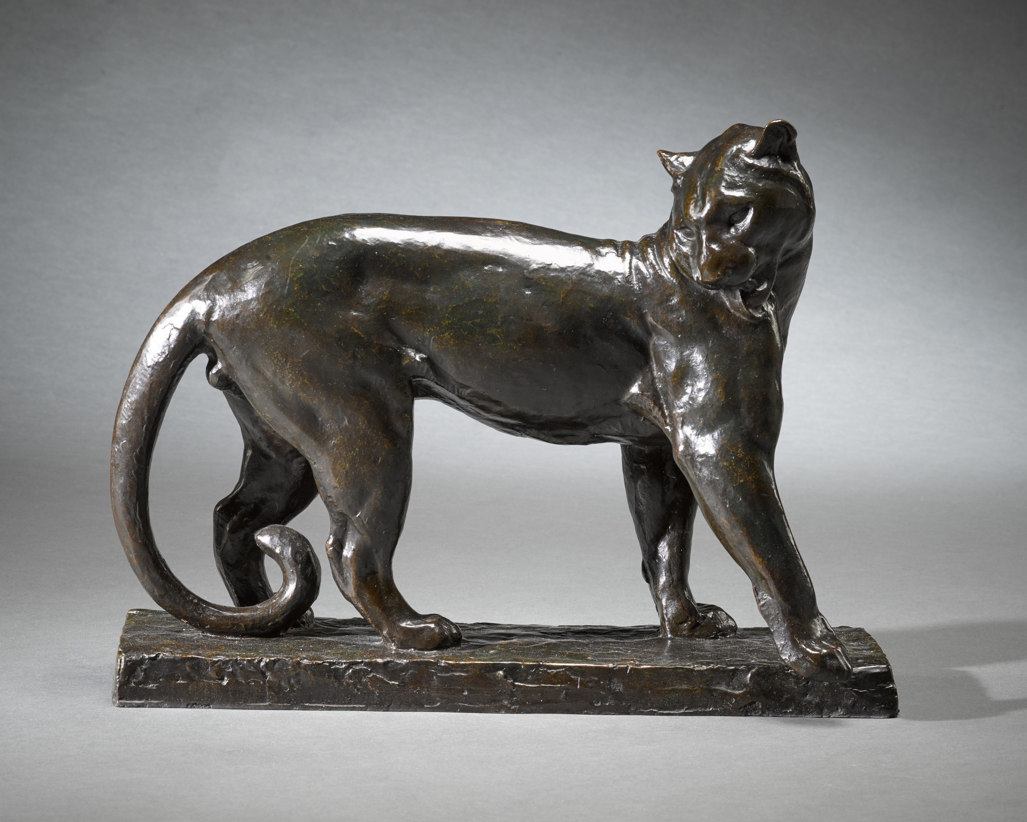 Charles Delhommeau — Panther Grooming