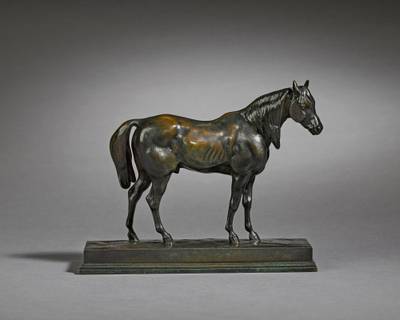 Cheval demi-sang (tête levée, réduction) (Half Blood Horse)