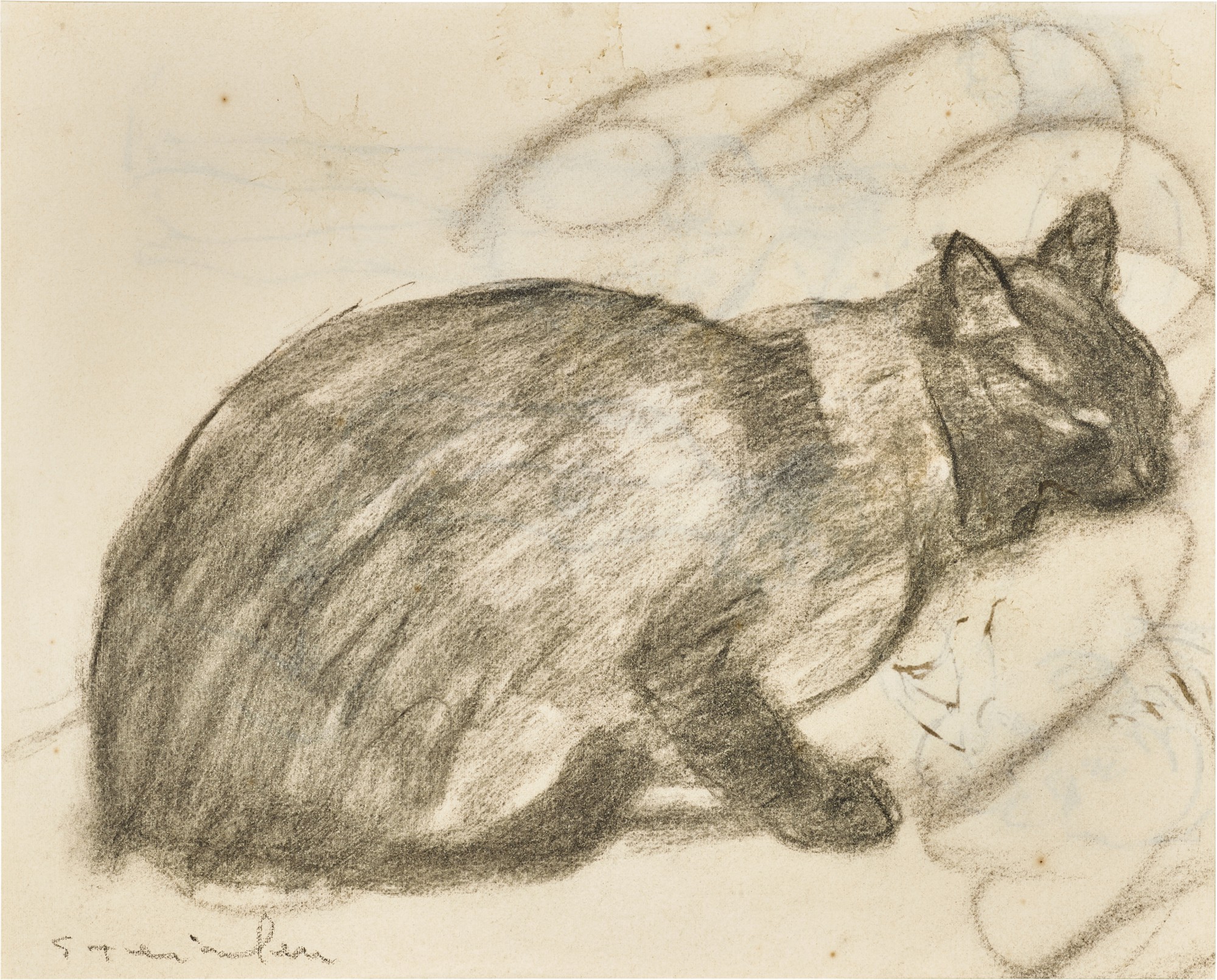 Chat siamois - recto Études - verso