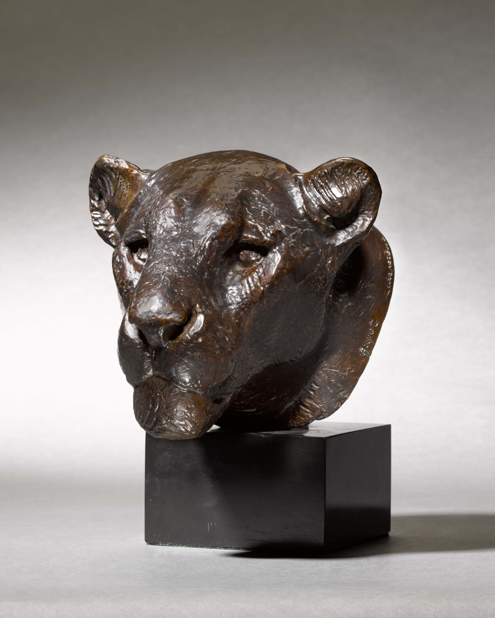 Georges Guyot — Tête de lionne (Head of a Lioness)